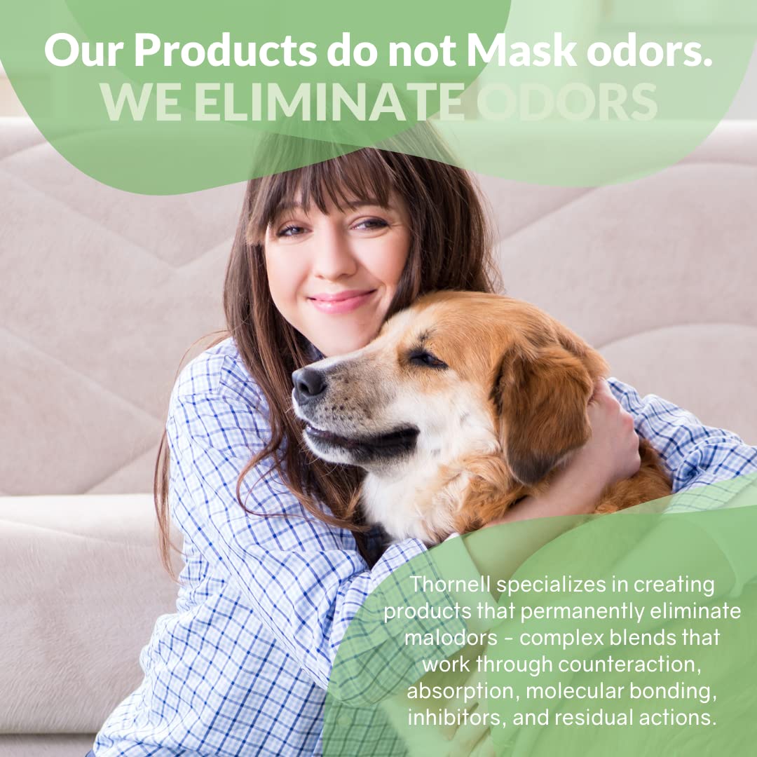 Odormed Odor Eliminator is clinic-ready, helping spaces stay clean between routine cleanings.