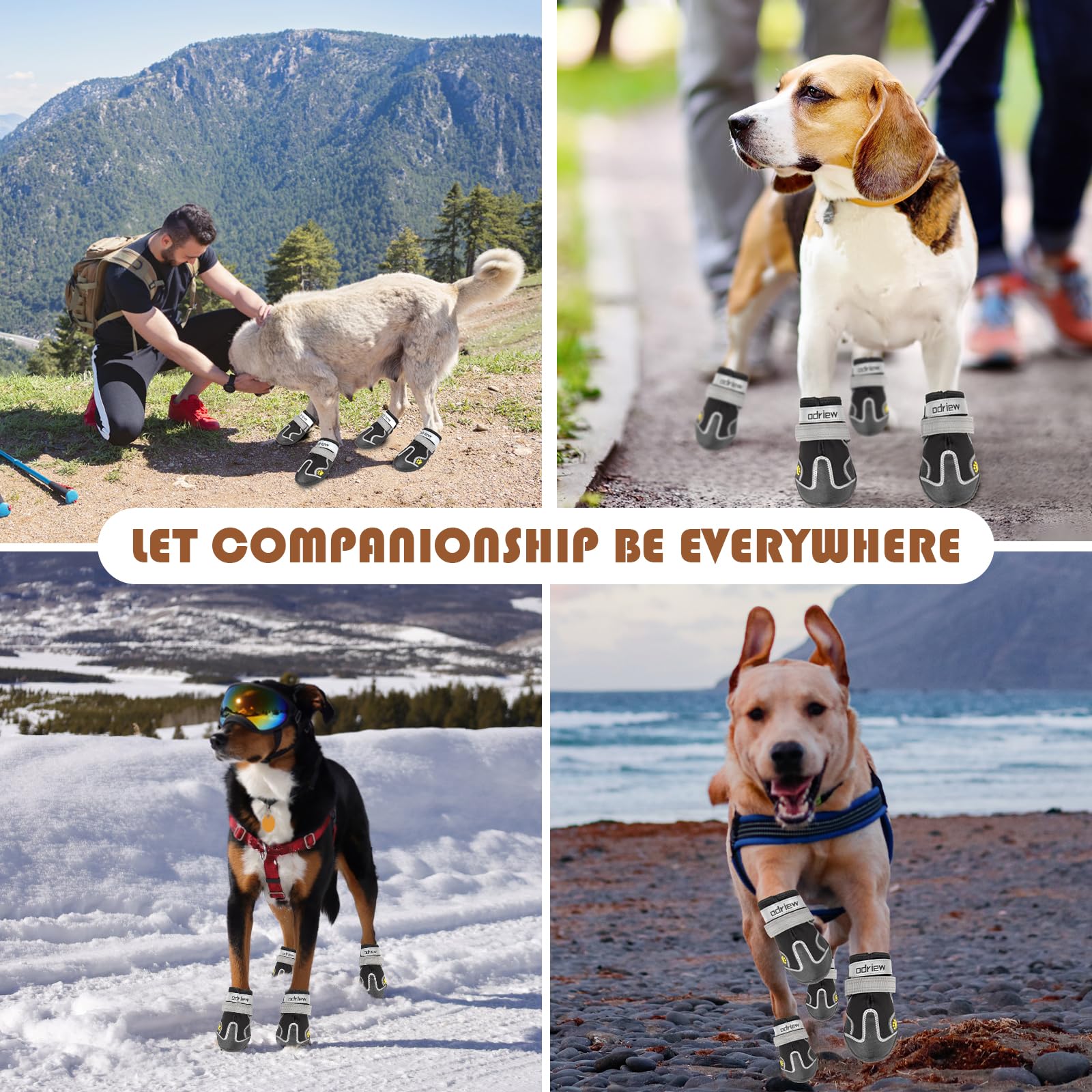 ODRIEW dog shoes adjustable straps ensuring secure fit on hikes