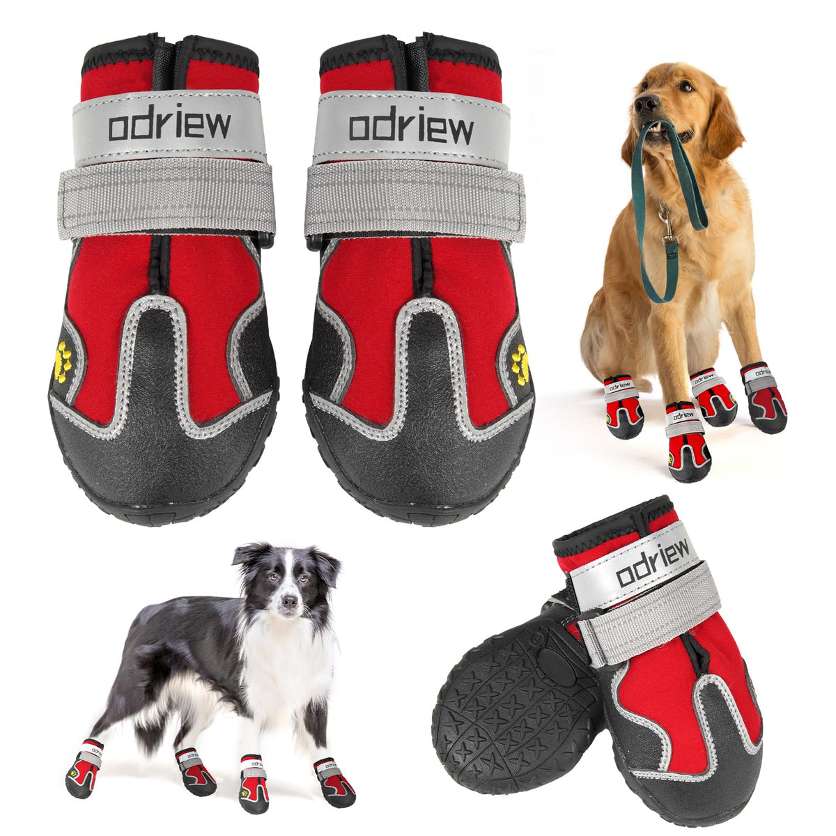 ODRIEW dog shoes red strap close-up shows secure fit for outdoor walks