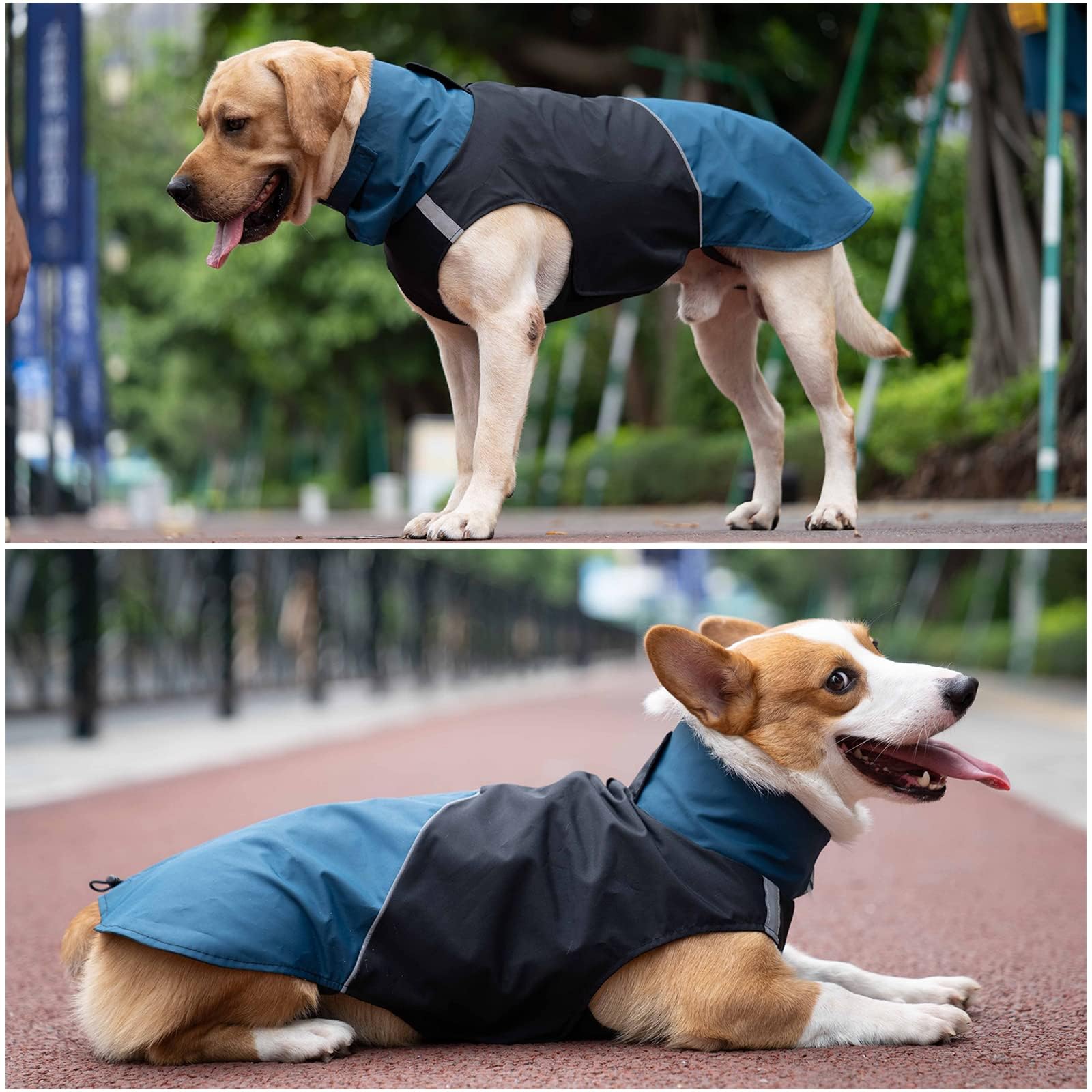ODSSDAPU dog warm coats easy-clean-durable-fabric resists dirt after outdoor play