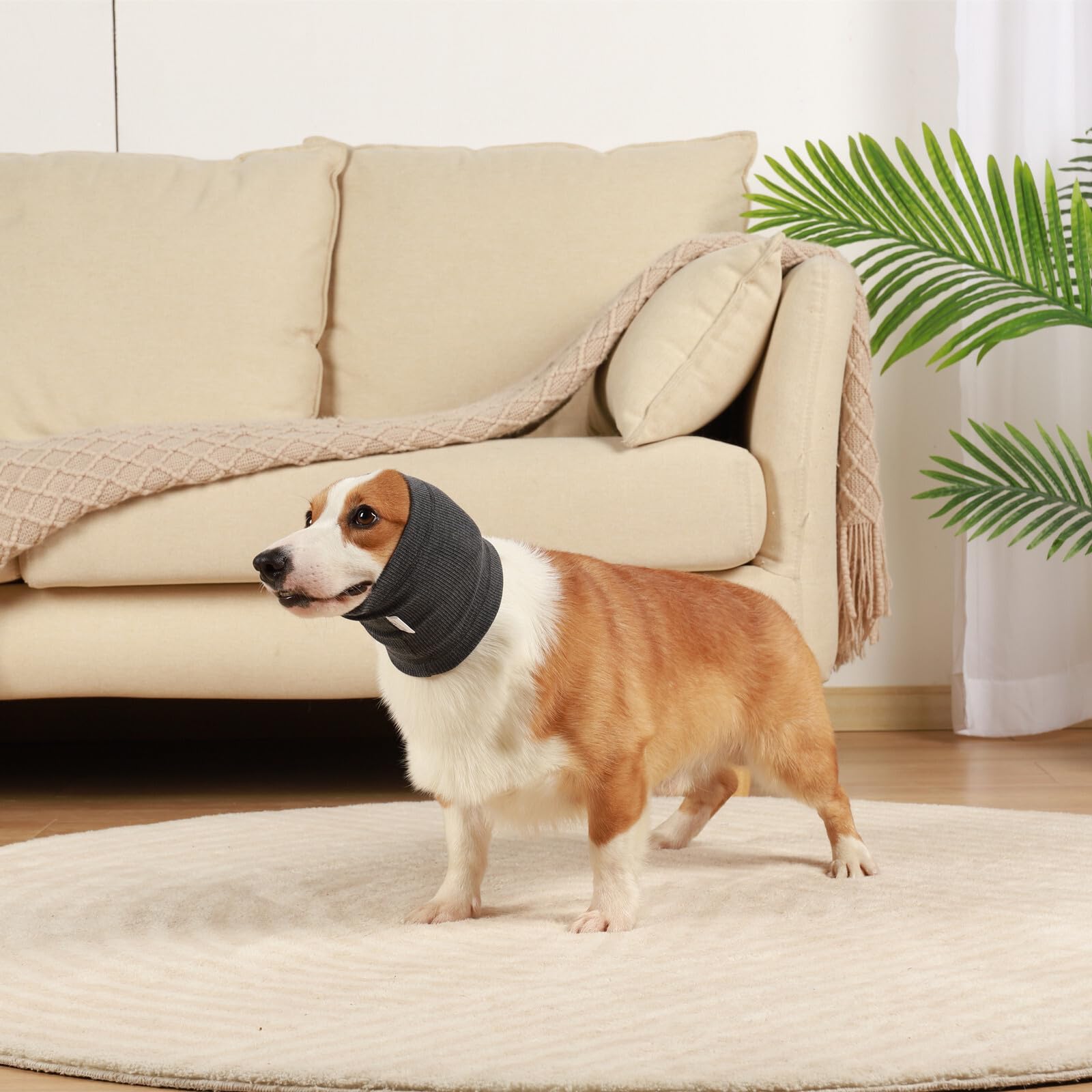 ODSSDAPU No Shake Ear Wraps grooming-travel scene suggesting calming aid during visits and travel.
