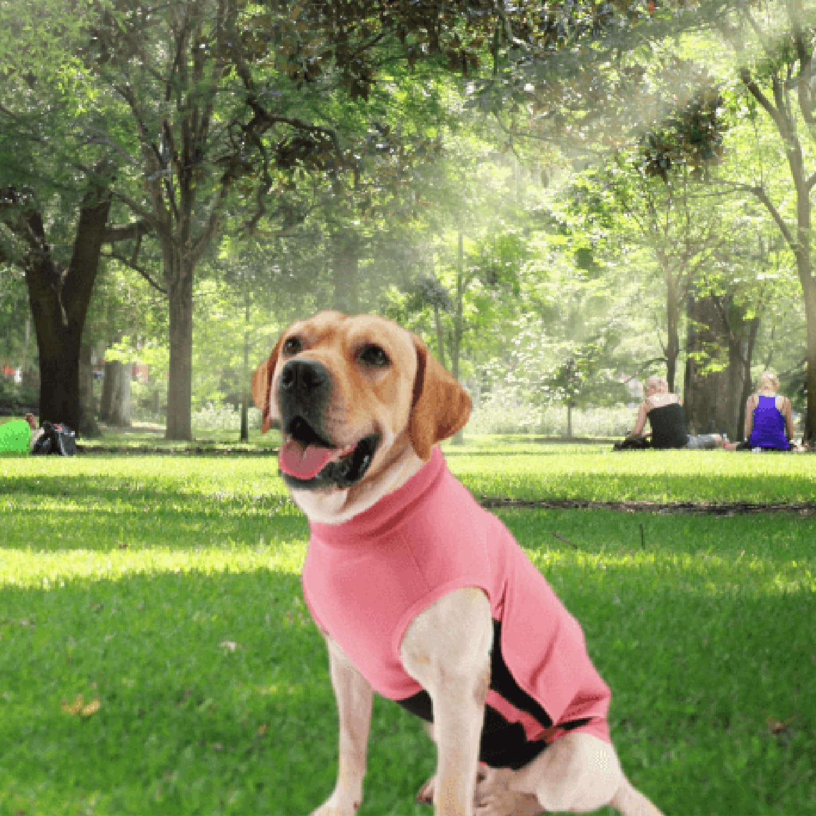 ODSSTAIPS dog anxiety vest pink size reference guide