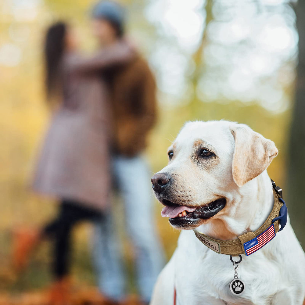 OEBEESA Tactical dog collar Airtag case demonstrates secure tag protection during walks.