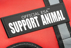 Official ESA Support Pets harness with adjustable belly-strap provides a secure, comfortable daily fit.
