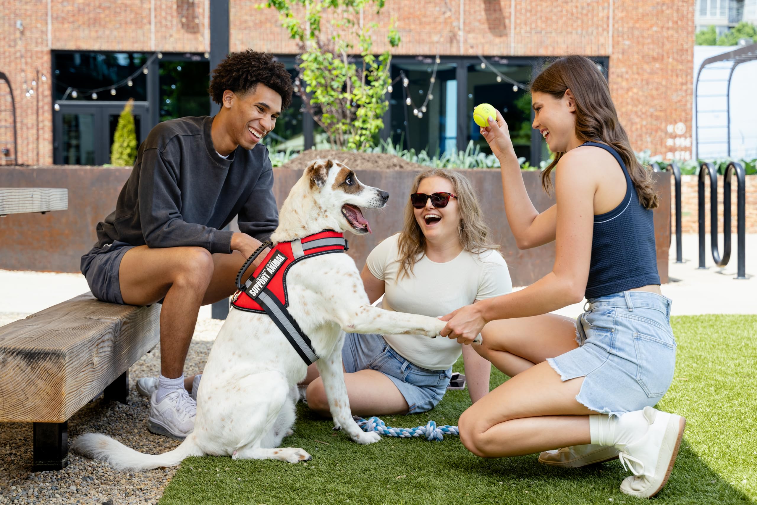 Official ESA Support Pets harness with easy-clip D-ring for quick leash or tag attachment.