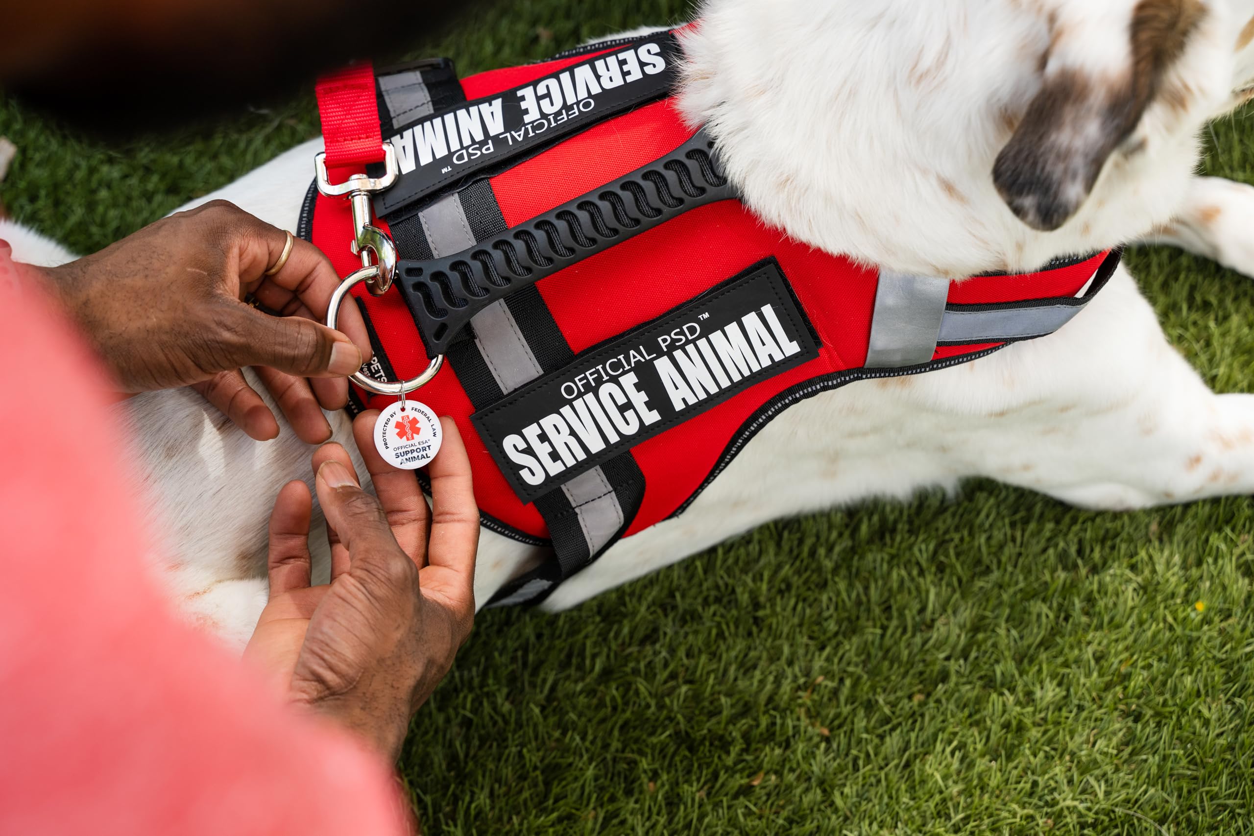 Official ESA Support Pets lightweight and breathable harness suitable for everyday wear.