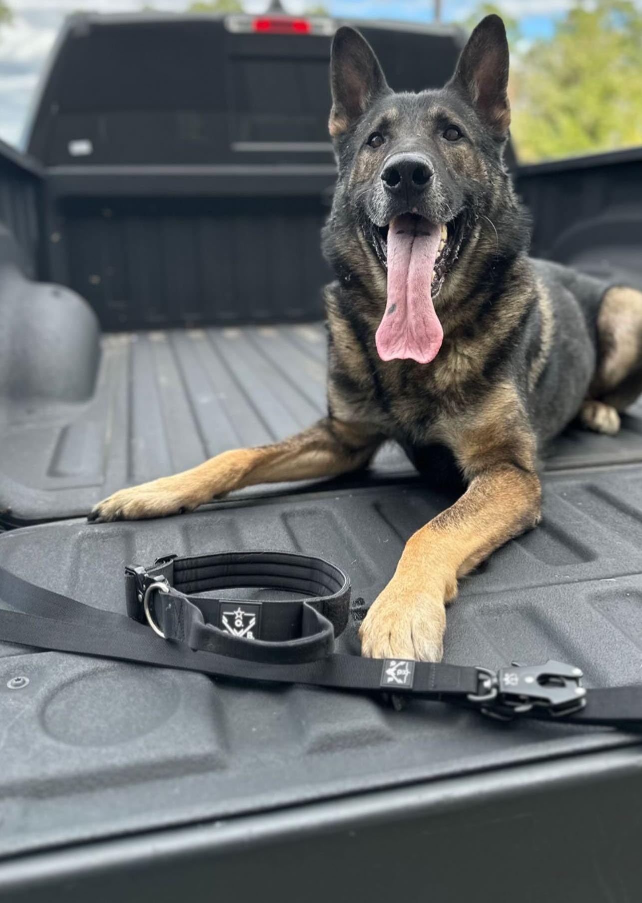 O.G.B. 1-inch wide leash balances strength with comfortable grip daily.