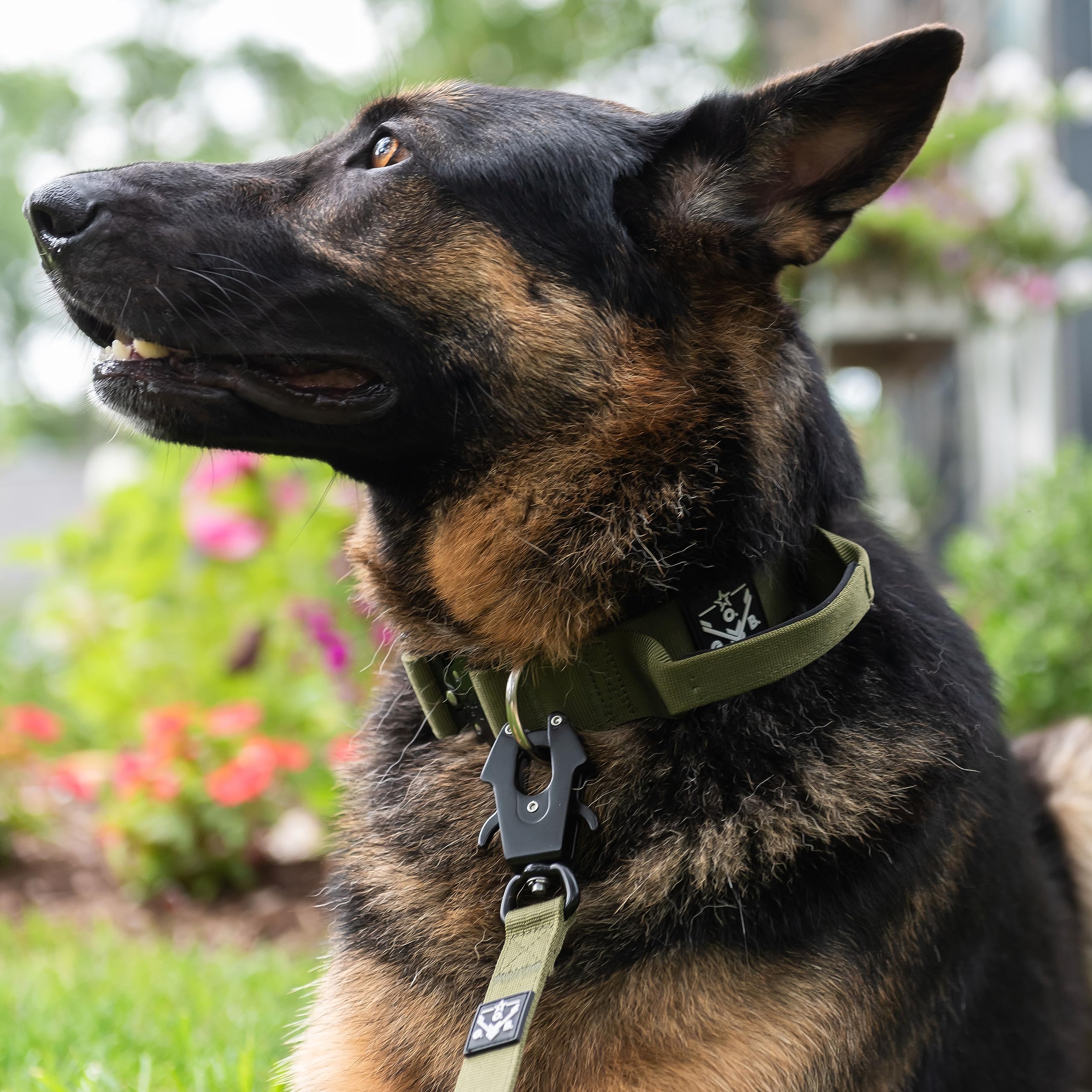 O.G.B. green tactical leash blends with gear for cohesive K9 setups.