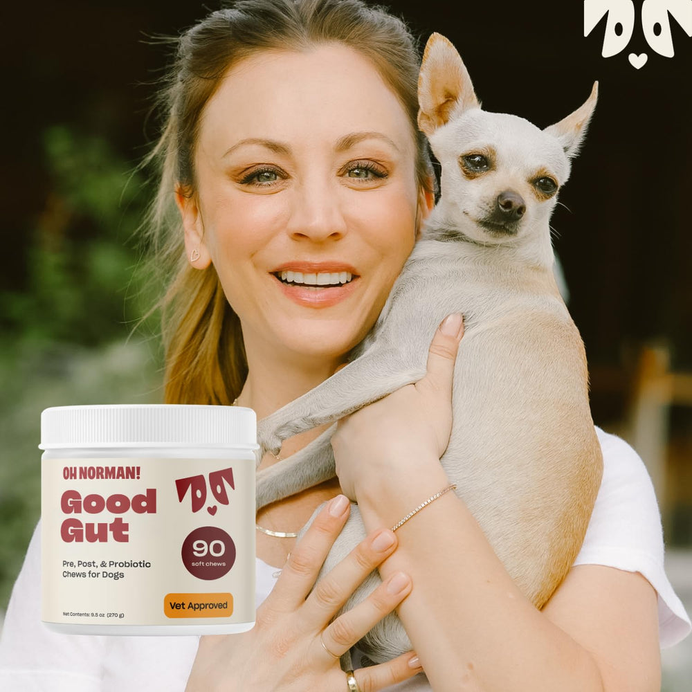 Oh Norman! Enzymes and pre/postbiotics work together for smoother digestion and nutrient absorption.