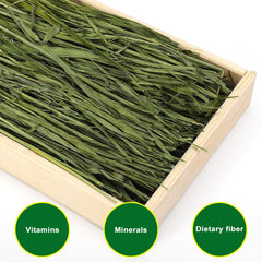 Ohcool heno de avena natural para mascotas: ingrediente 100% natural para una dieta equilibrada.