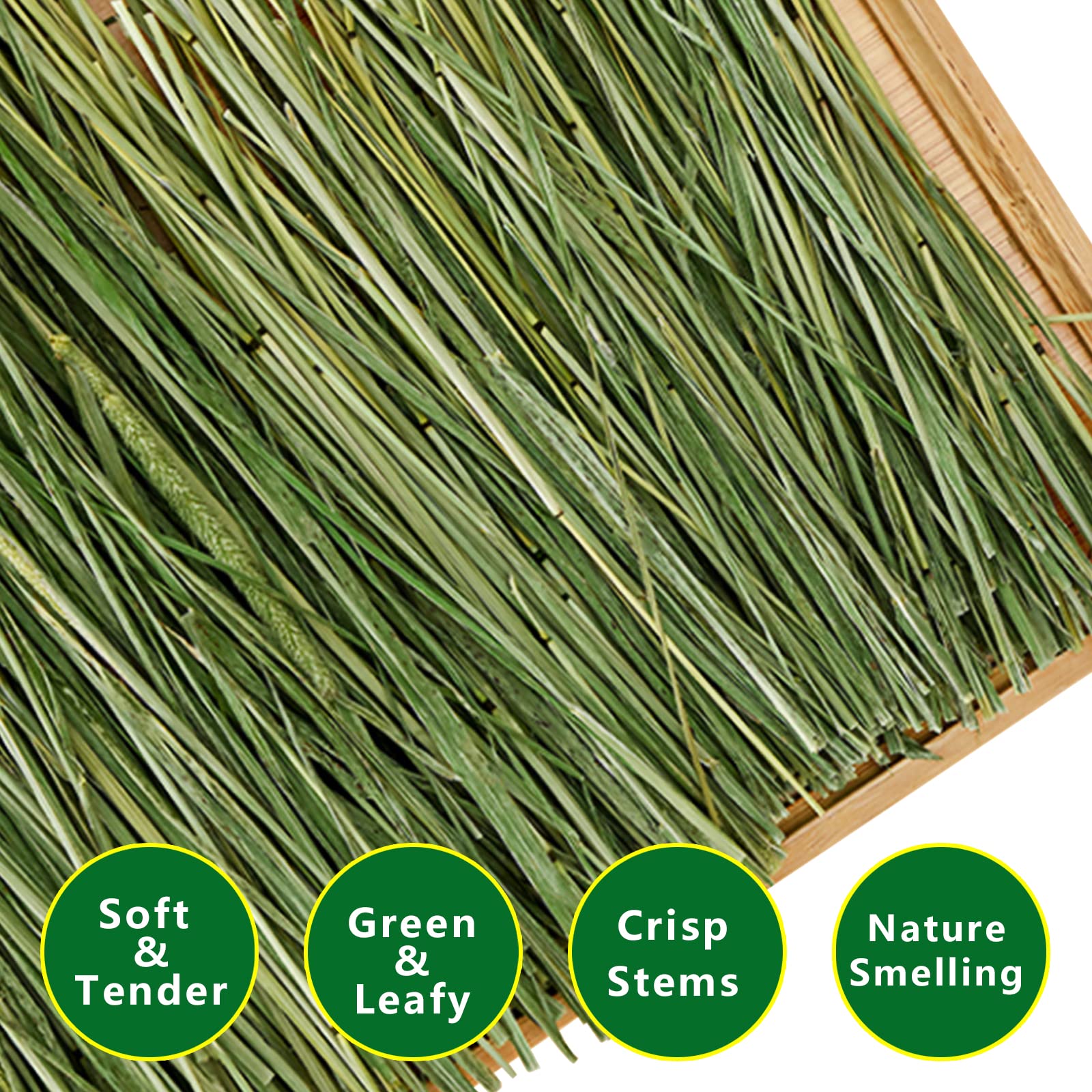 Ohcool Timothy Hay fresh aroma signals mountain-grown quality and natural nourishment.