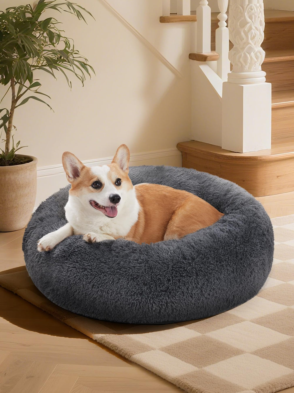OhGeni calming donut bed foam provides orthopedic support for comfortable joint relief.