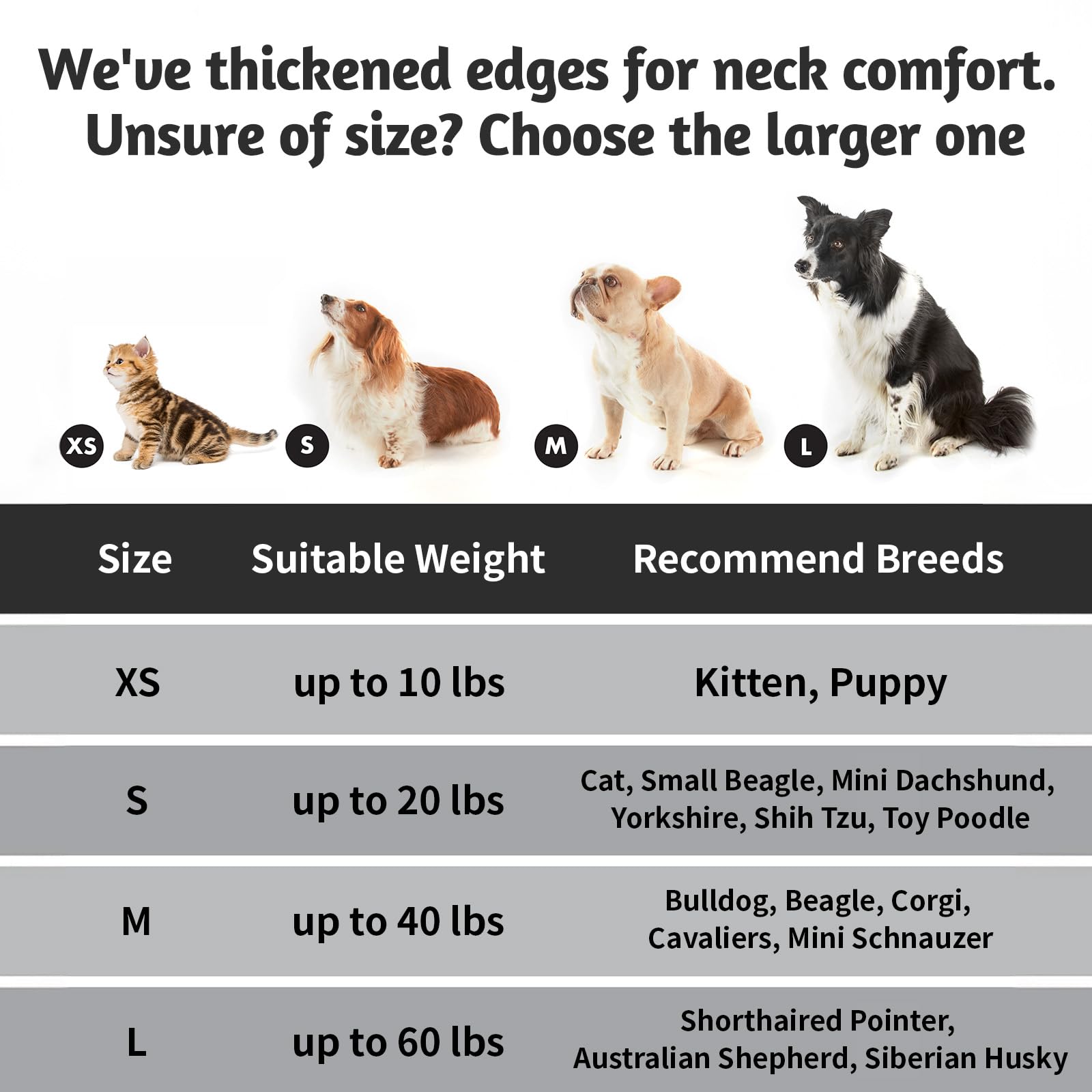 OhGeni large sleeping zone invites pets to sprawl and relax comfortably.