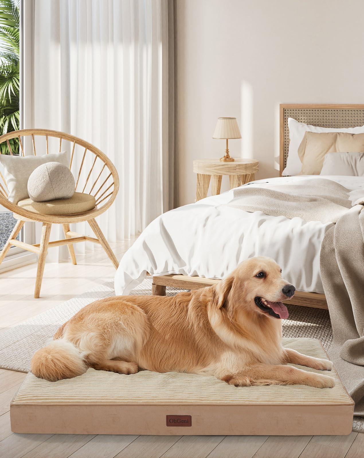OhGeni orthopedic dog bed in khaki, full view for large pets and comfort.