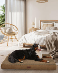 OhGeni orthopedic dog bed 54-inch coffee, side view showing spacious support for large pets