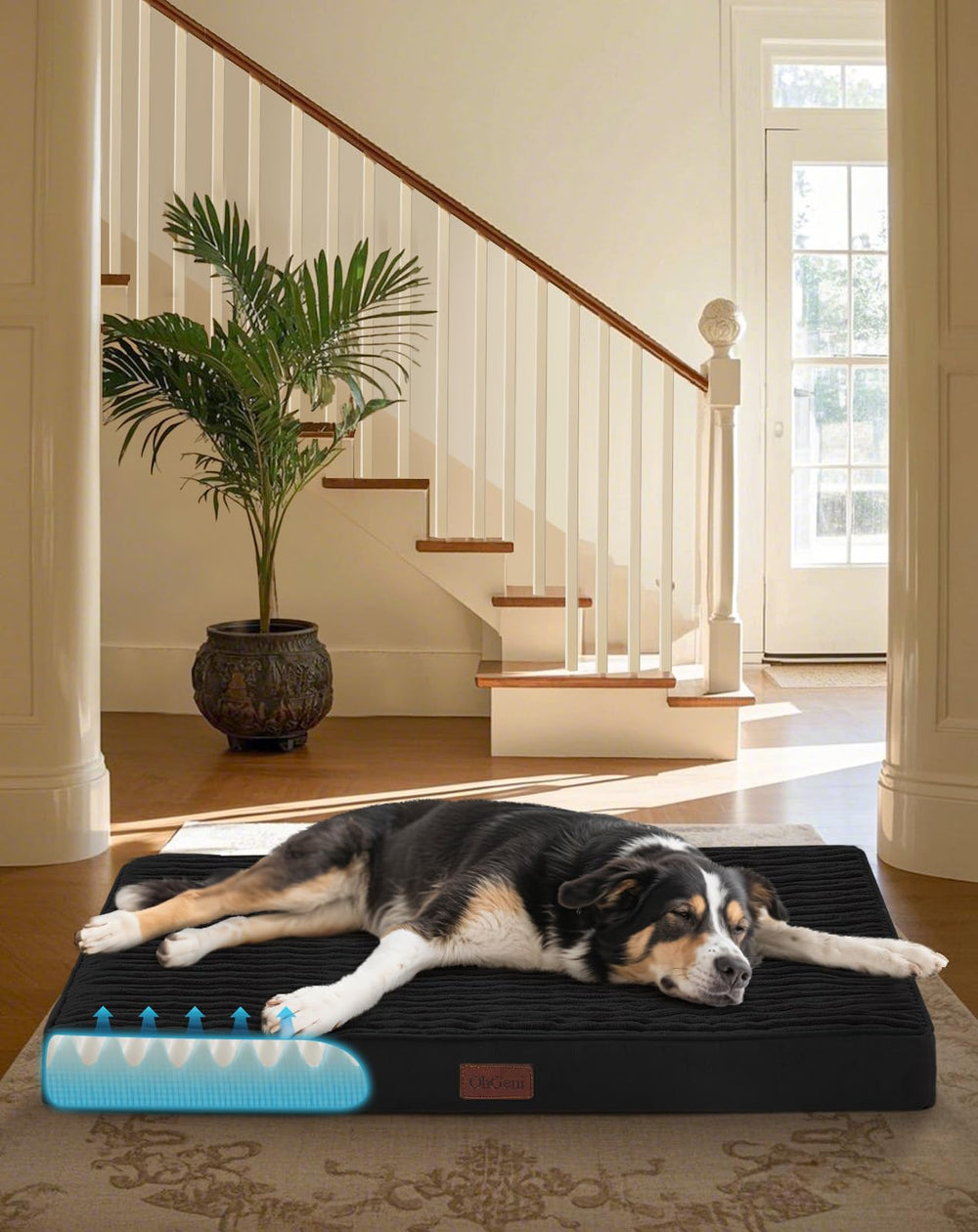 OhGeni orthopedic dog bed with egg crate foam for large pets