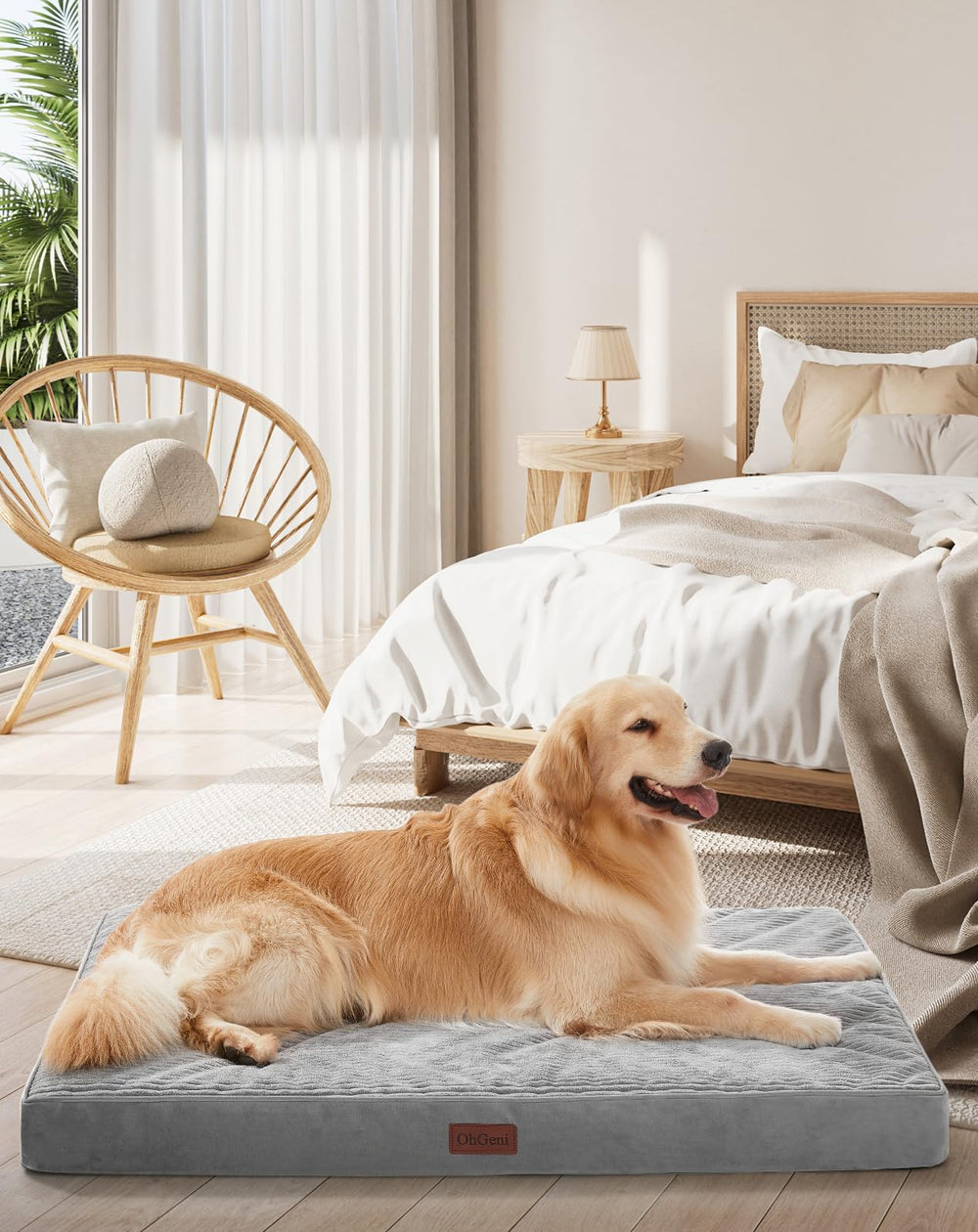 OhGeni orthopedic dog bed gray front view showing supportive comfort