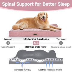 OhGeni orthopedic foam closeup shows egg-crate support reducing pressure on hips and spine.