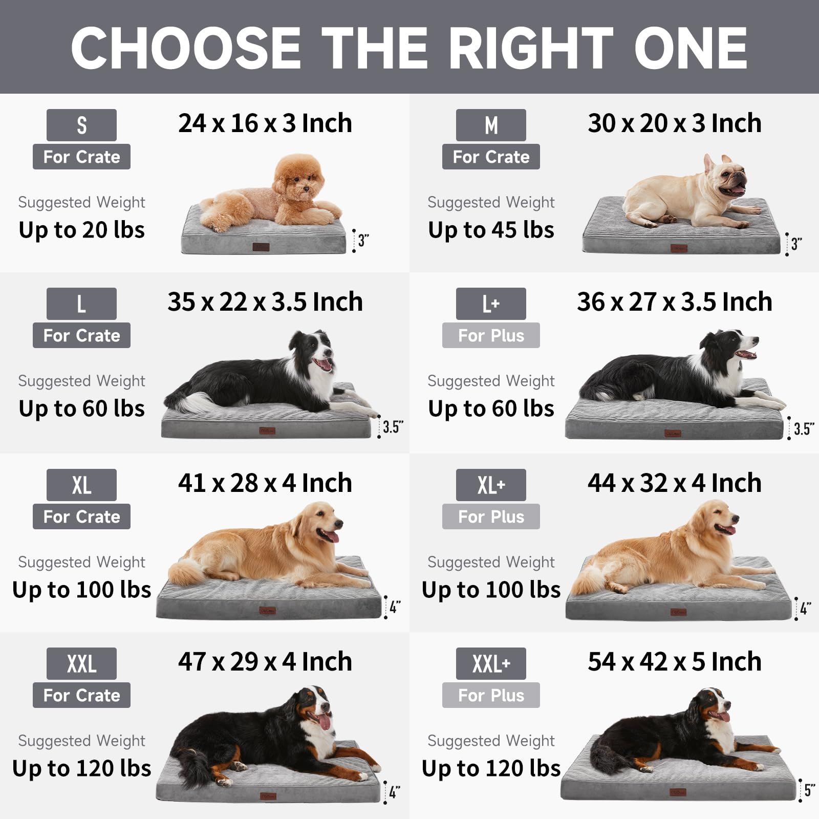 OhGeni bed suited for floor or crate placement, offering versatile comfort.