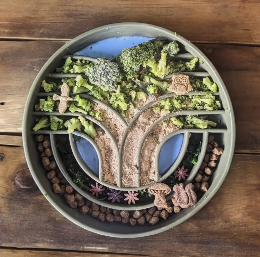 OHMO slow feeder bowl dry and wet food compatibility illustrates versatility