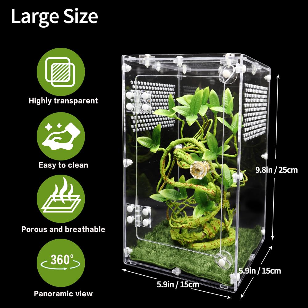Oialonne large jumping spider enclosure front door open for easy feeding and cleaning