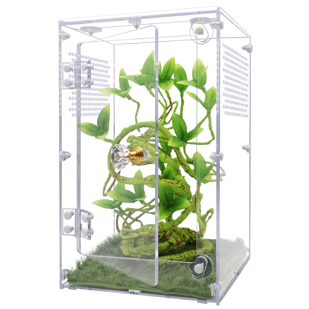 Oialonne large jumping spider enclosure front view shows a spacious habitat for tarantulas and mantises