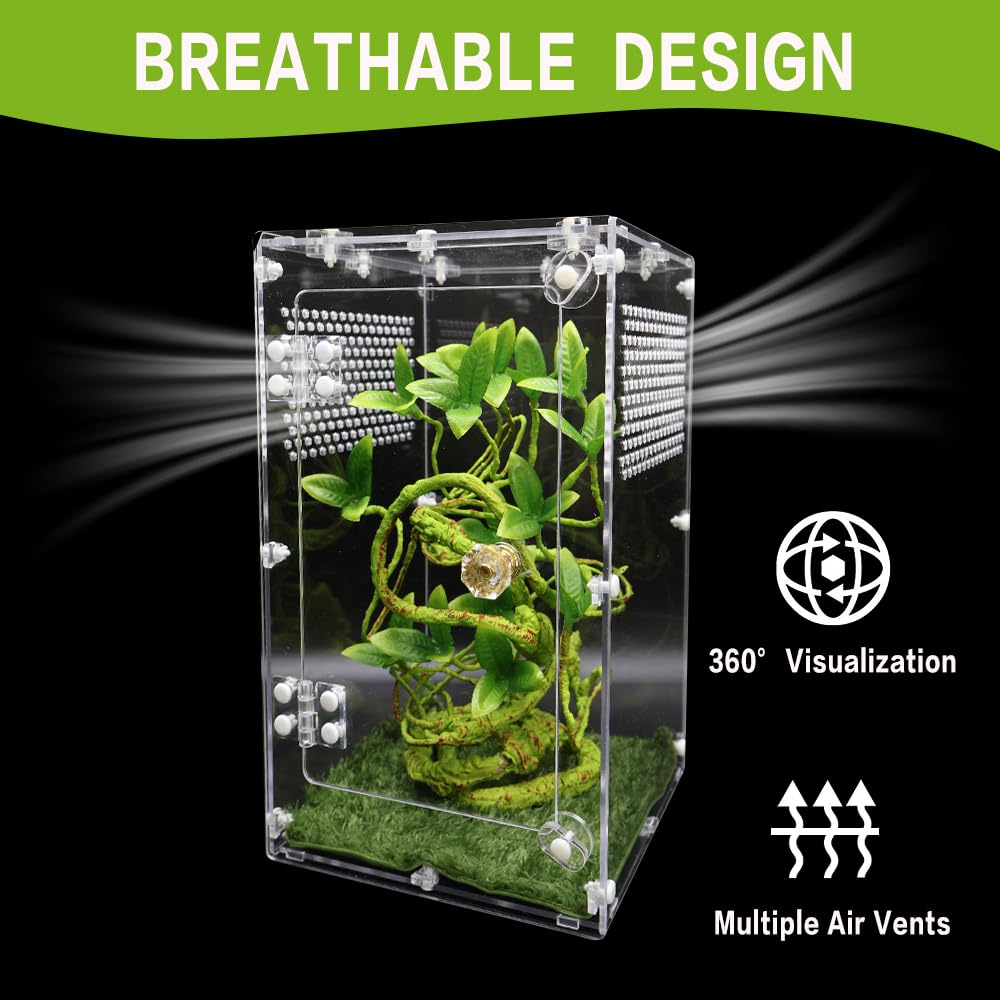Oialonne large jumping spider enclosure interior 360 view enables full observation