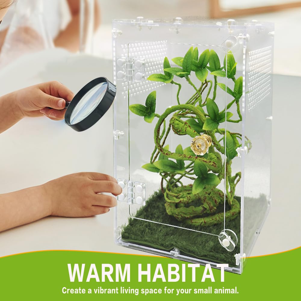Oialonne spider enclosure multi-species use illustrates versatile habitat options