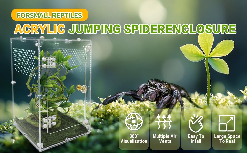 Oialonne spider enclosure two-lock system ensures secure containment