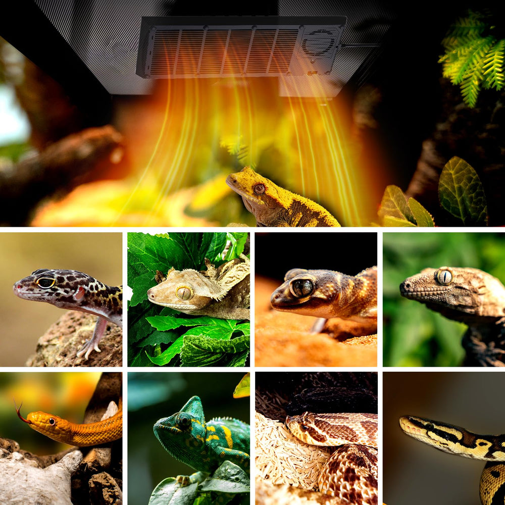 Oiibo reptile heat panel helps crested gecko rest with gentle heat