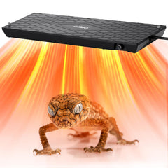 Oiibo reptile heat panel mounted under terrarium lid for consistent warmth