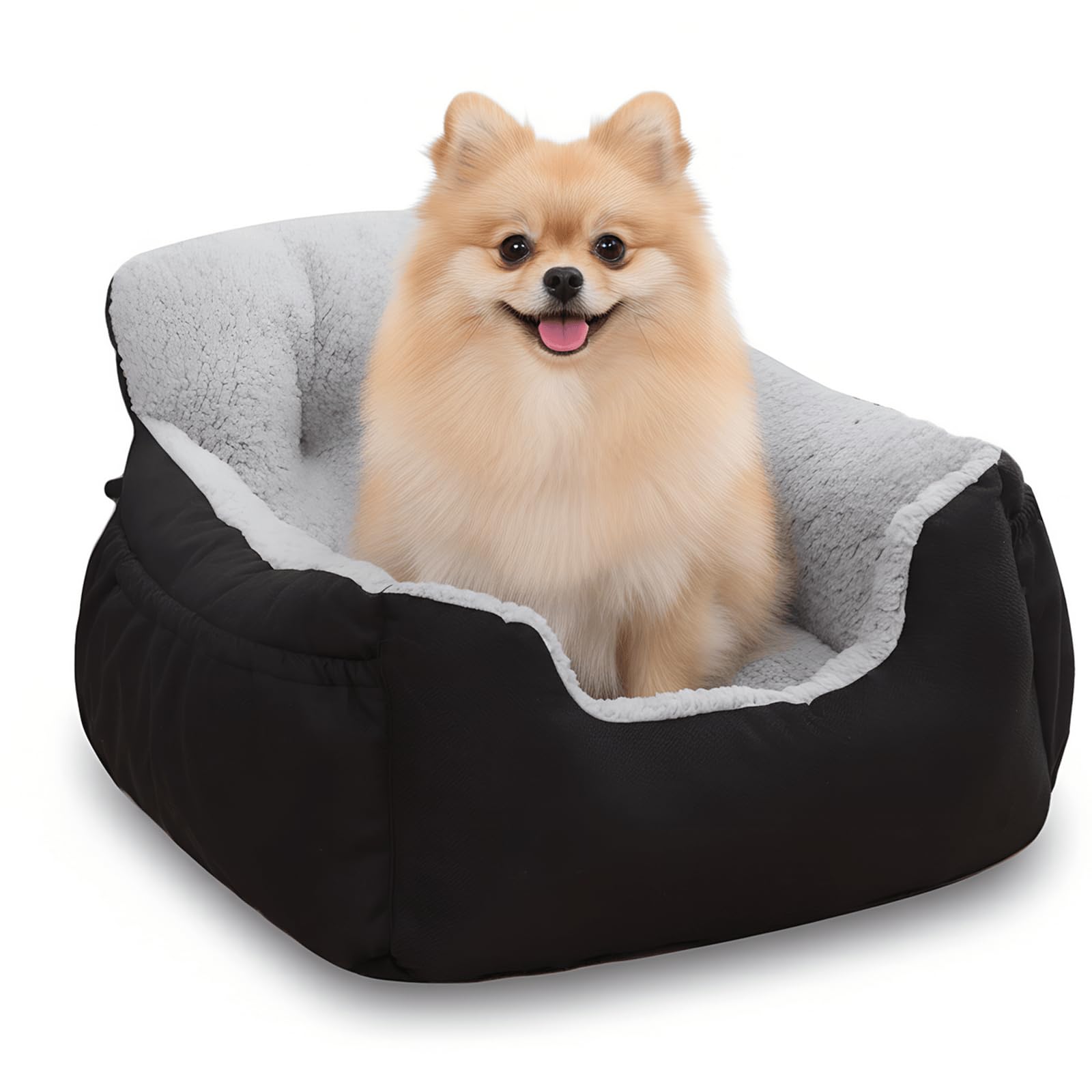 Oiilores dog car seat fits small dogs up to 30 lbs in most vehicles
