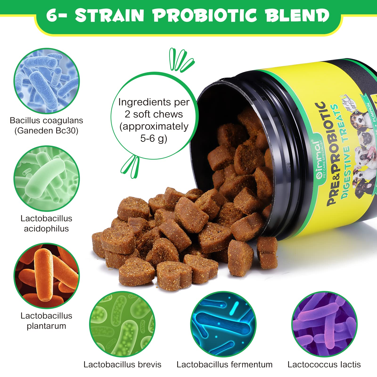 Oimmal omega-3-6 for dogs improving skin and coat health