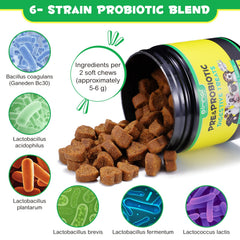 Oimmal omega-3-6 for dogs improving skin and coat health