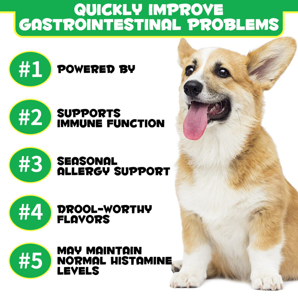 Oimmal probiotics for dogs serving shot of chews supporting digestion