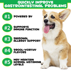Oimmal probiotics for dogs serving shot of chews supporting digestion