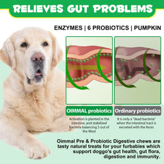 Oimmal soft chews for all breeds and ages presented as treats