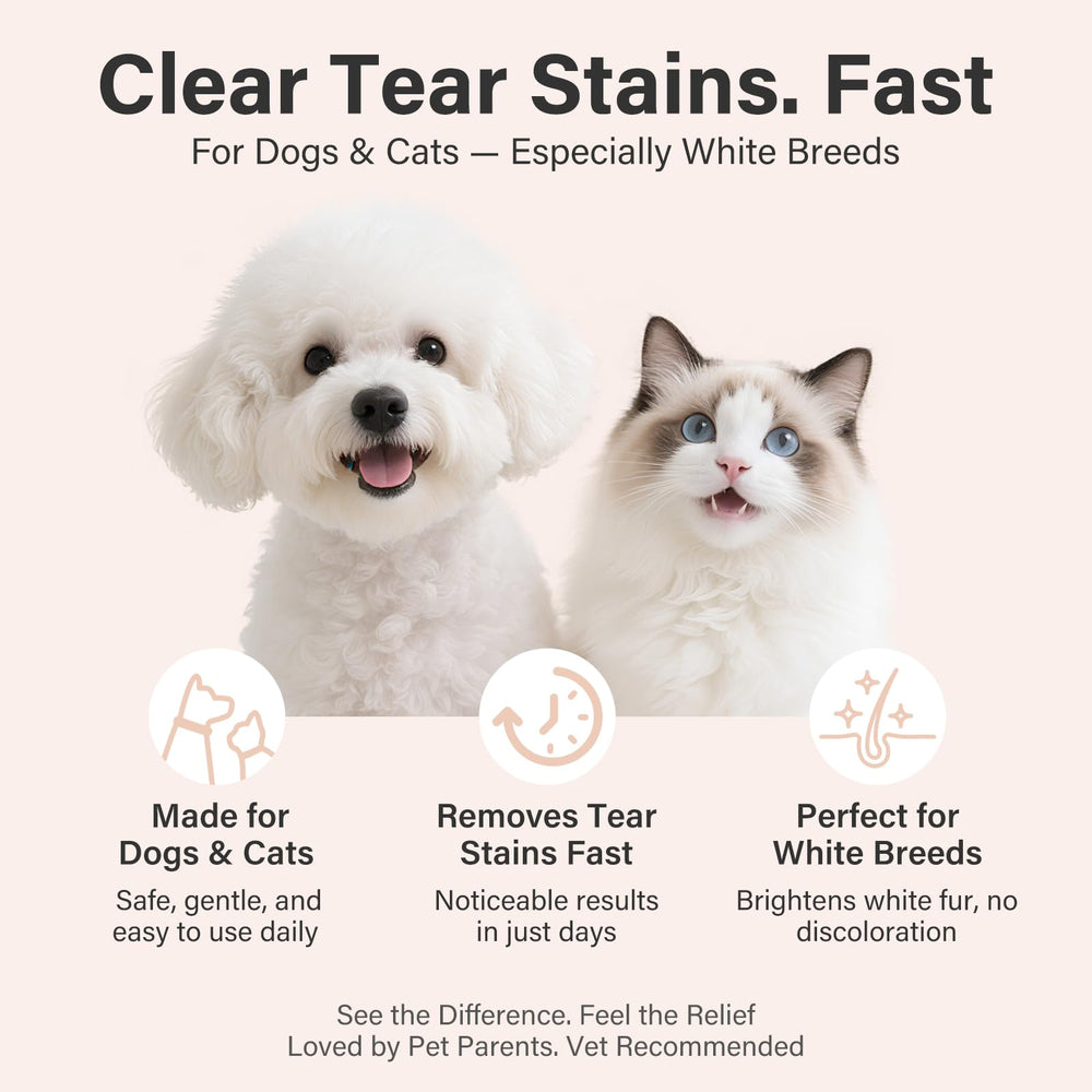 Oivolii Tear Stain Remover Balm ready for daily eye care routine
