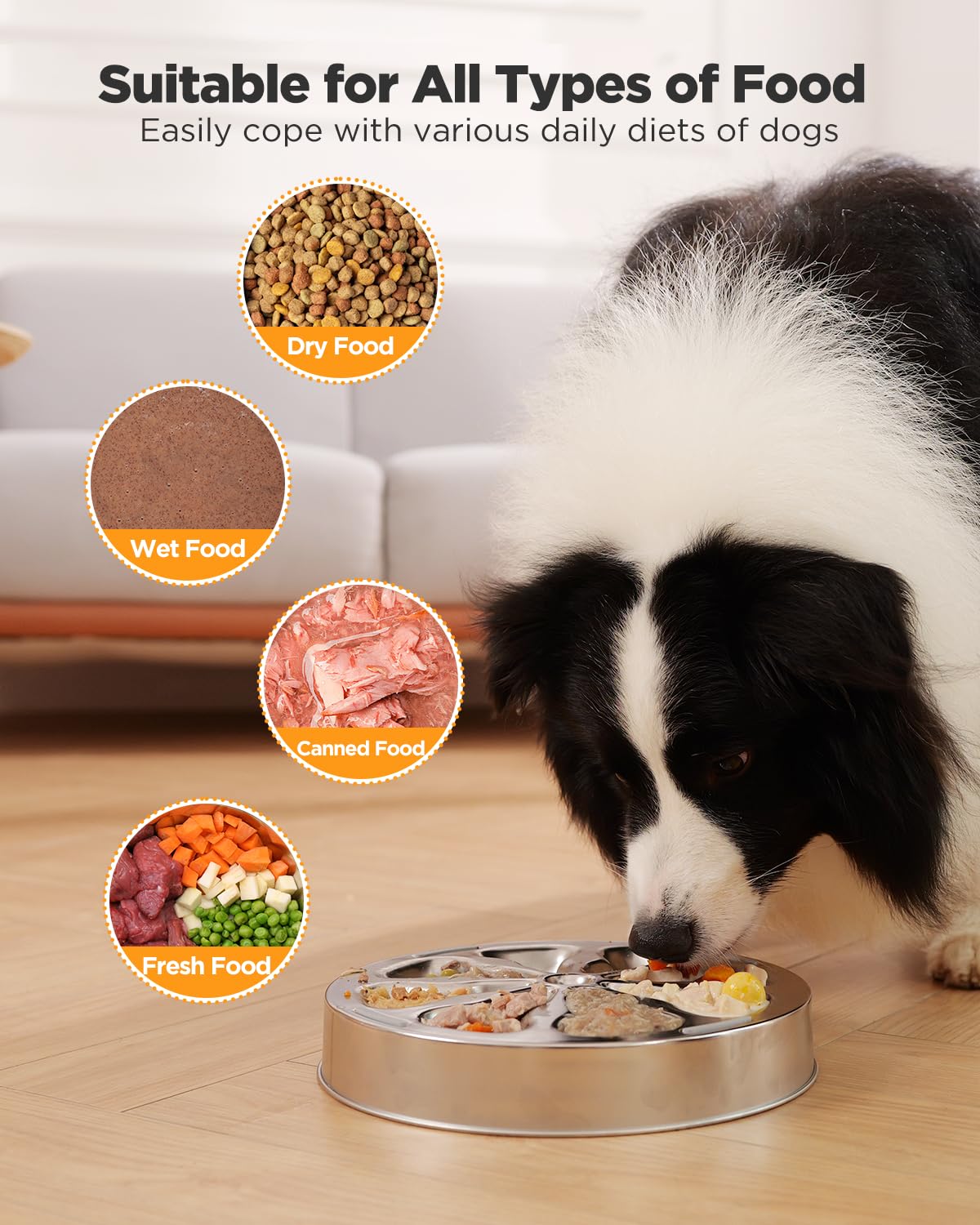 Oiwliur 5-cup capacity bowl accommodates various meals for dogs.