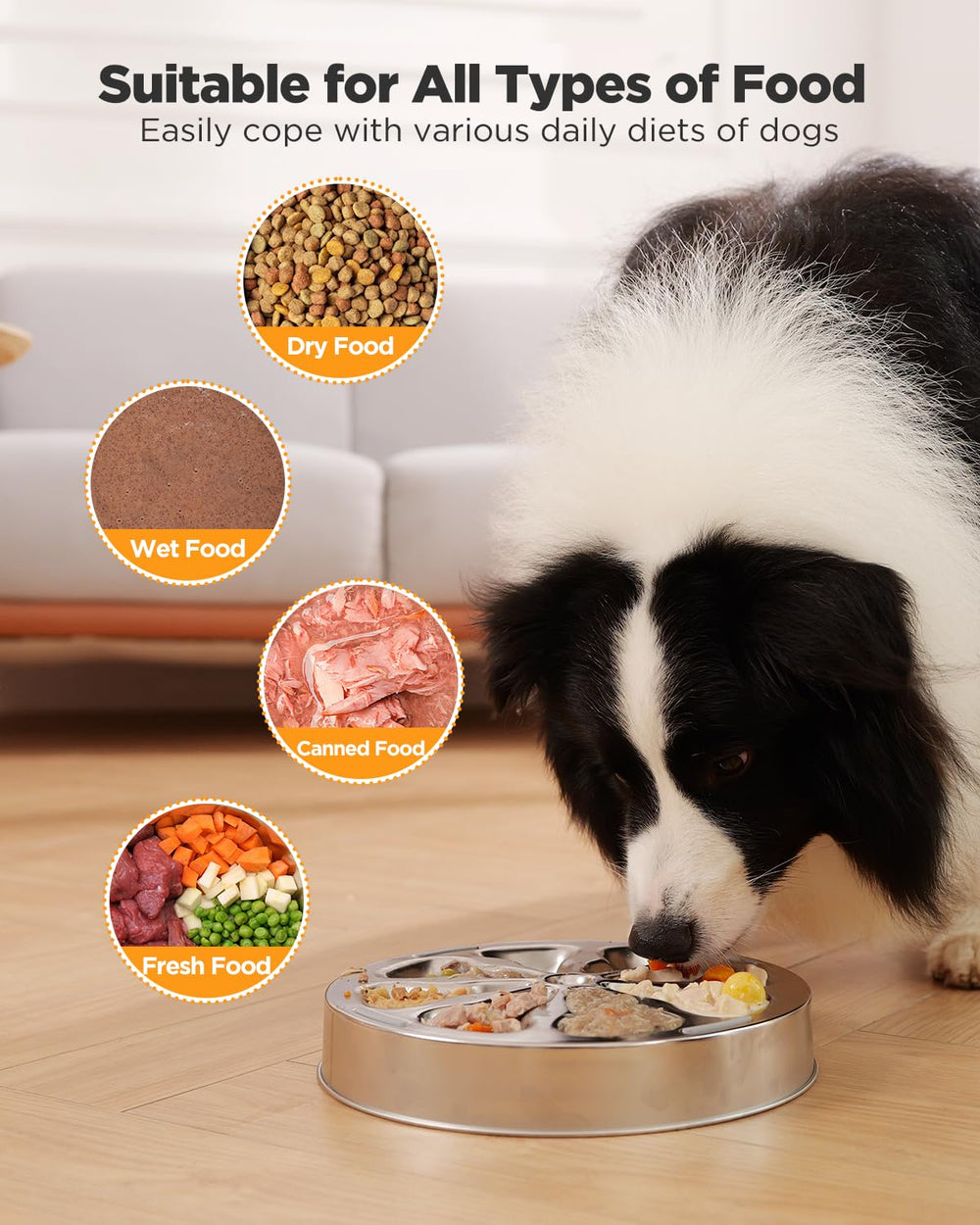 Oiwliur 5-cup capacity bowl accommodates various meals for dogs.