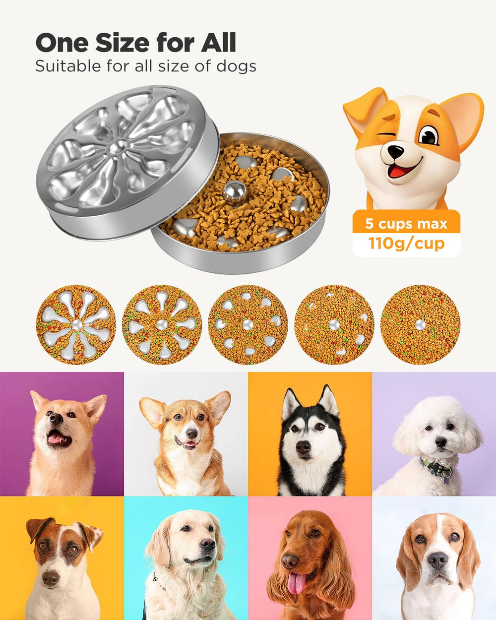 Oiwliur versatile bowl for wet, dry, or raw meals