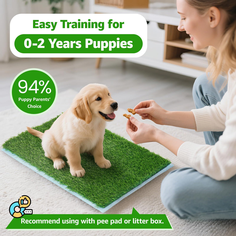 Oiyeefo artificial grass pad soft-paws surface ideal for canine comfort.
