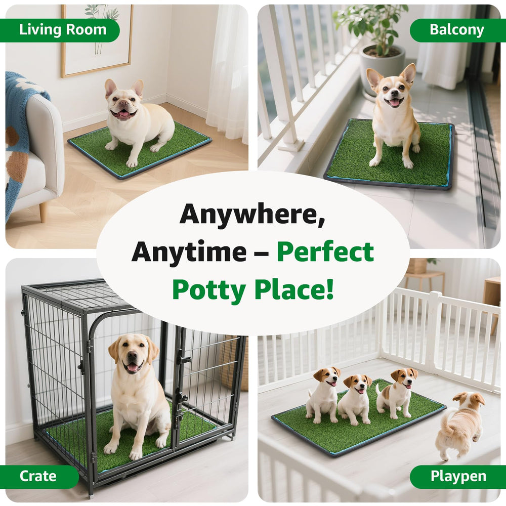 Oiyeefo easy-clean dog potty design makes cleaning fast