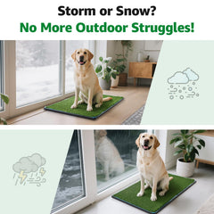 Oiyeefo replacement grass mats two-pcs offer continuous use while one is washed