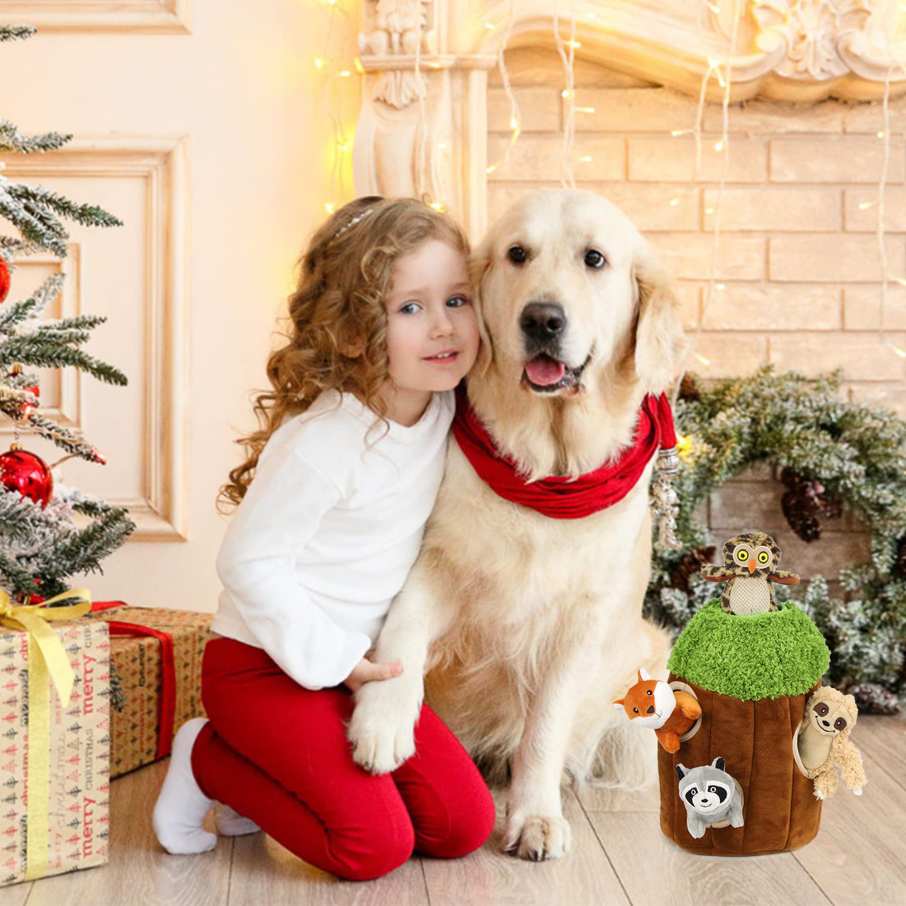 okegztoa dog toy set supports interactive bonding during family playtime.