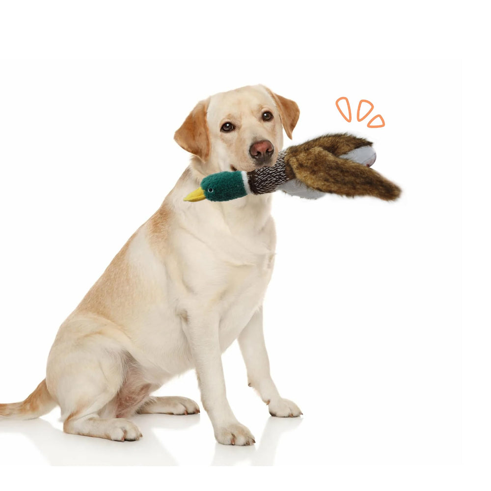 okegztoa dog toy in action with puppies and larger dogs during play.