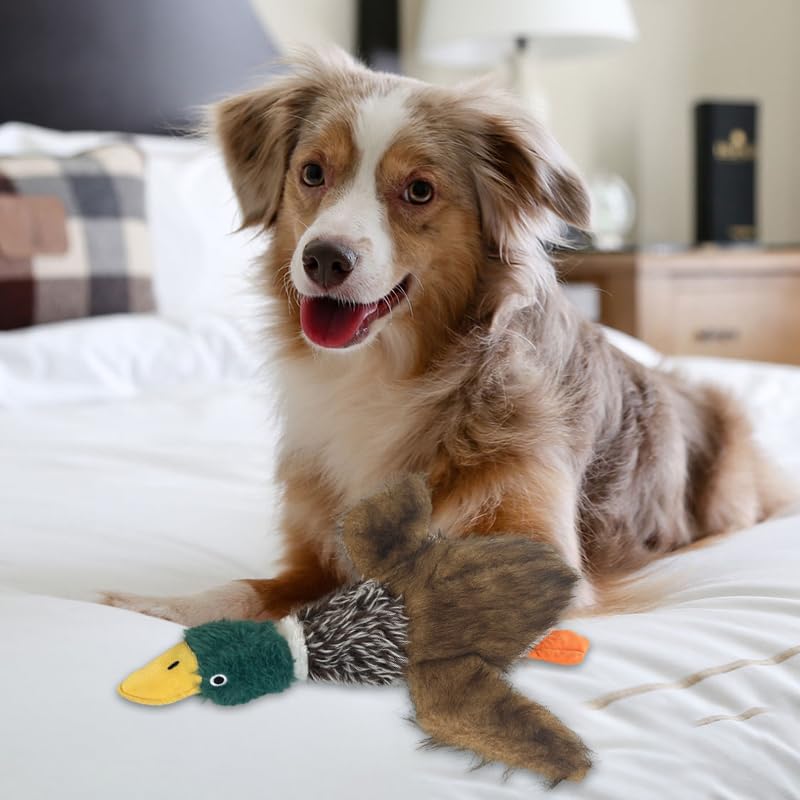 Okegztoa Mallard squeaky toy emits a big sound to grab a dog's attention.