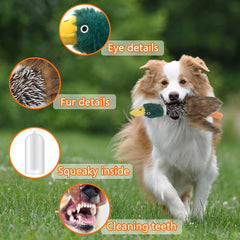 Okegztoa Mallard dog toy offers two ducks or two pheasants for variety.
