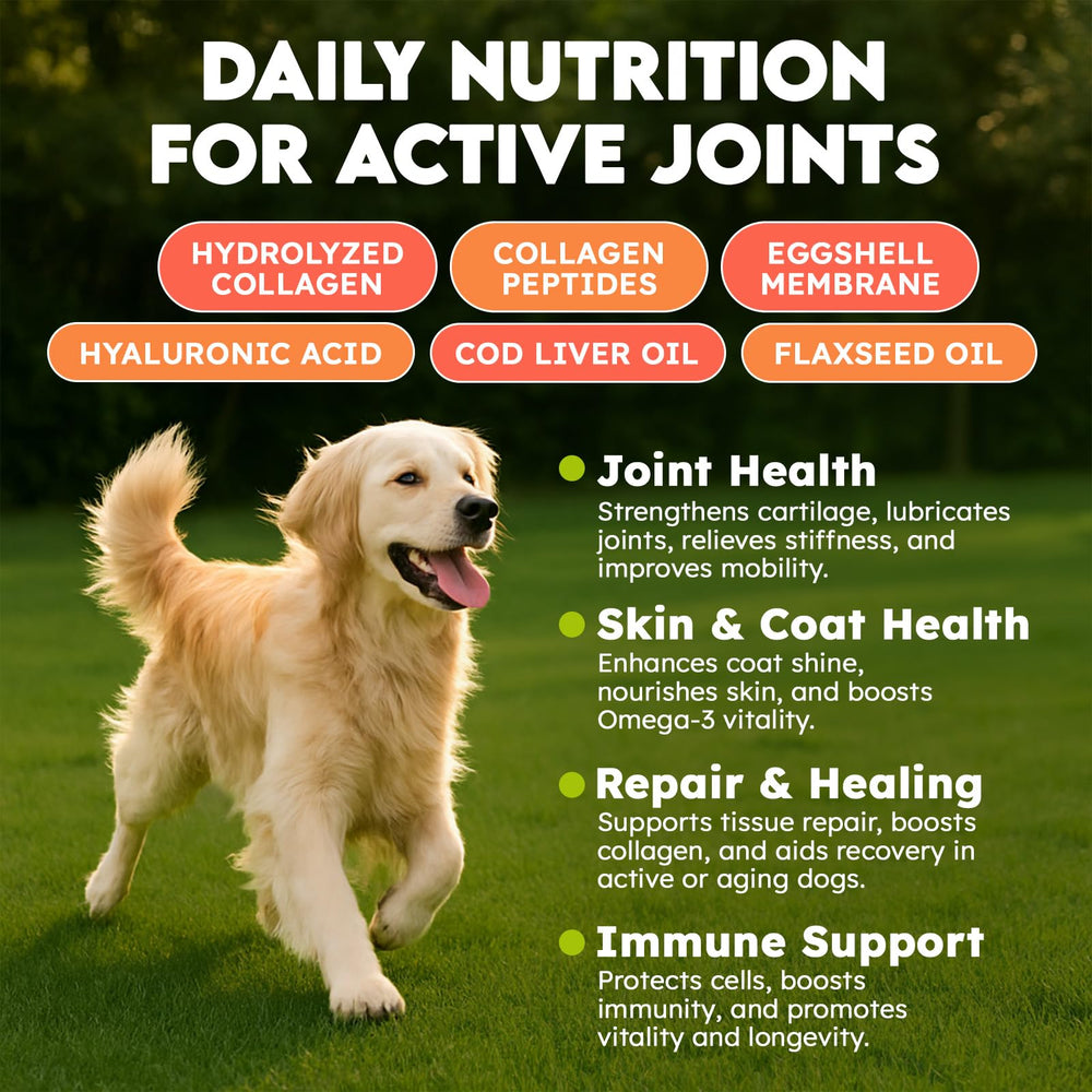 OKKÖBI Collagen for Dogs beef-flavor closeup highlights delicious chew for picky eaters.