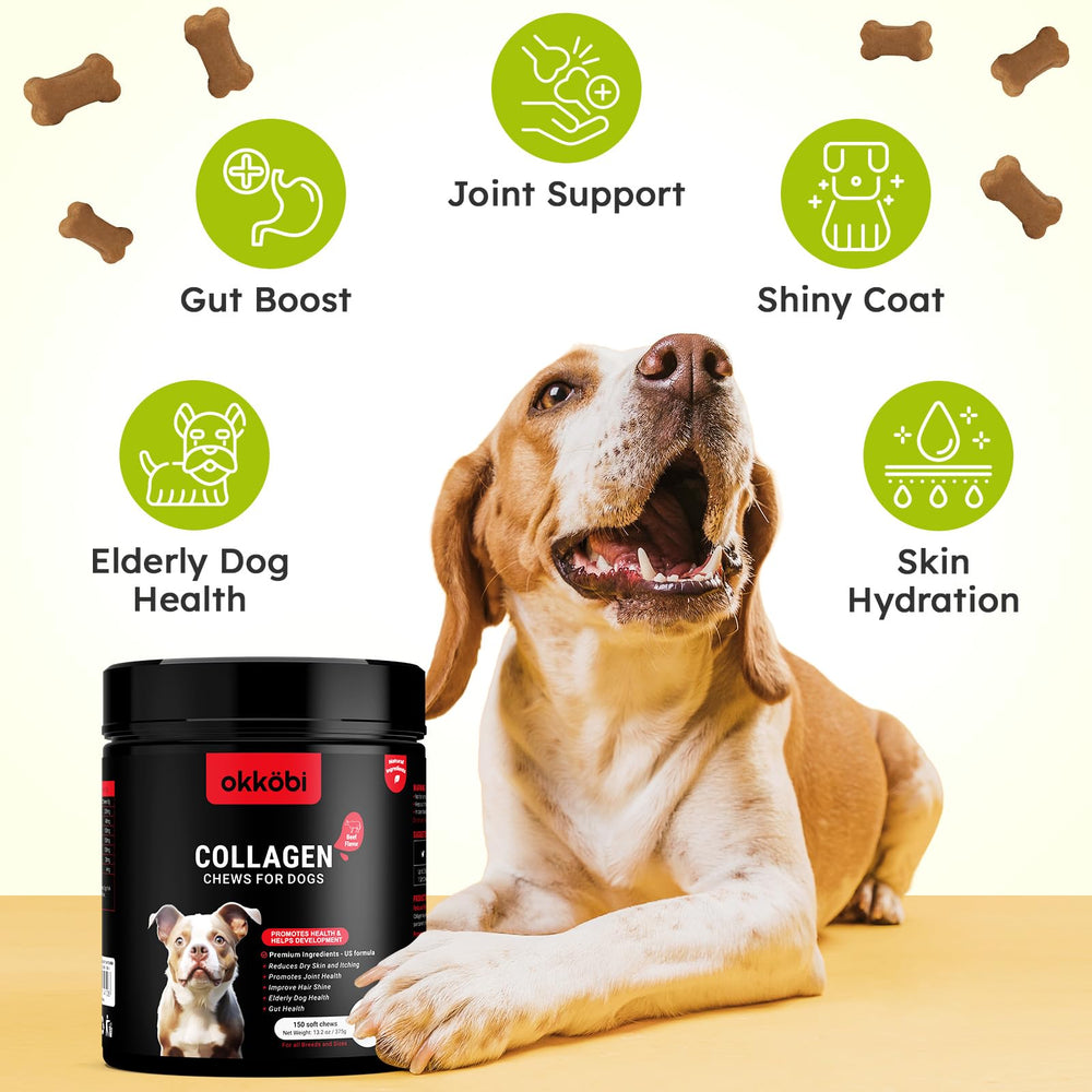 OKKÖBI Collagen for Dogs joint mobility image highlights hyaluronic acid support.